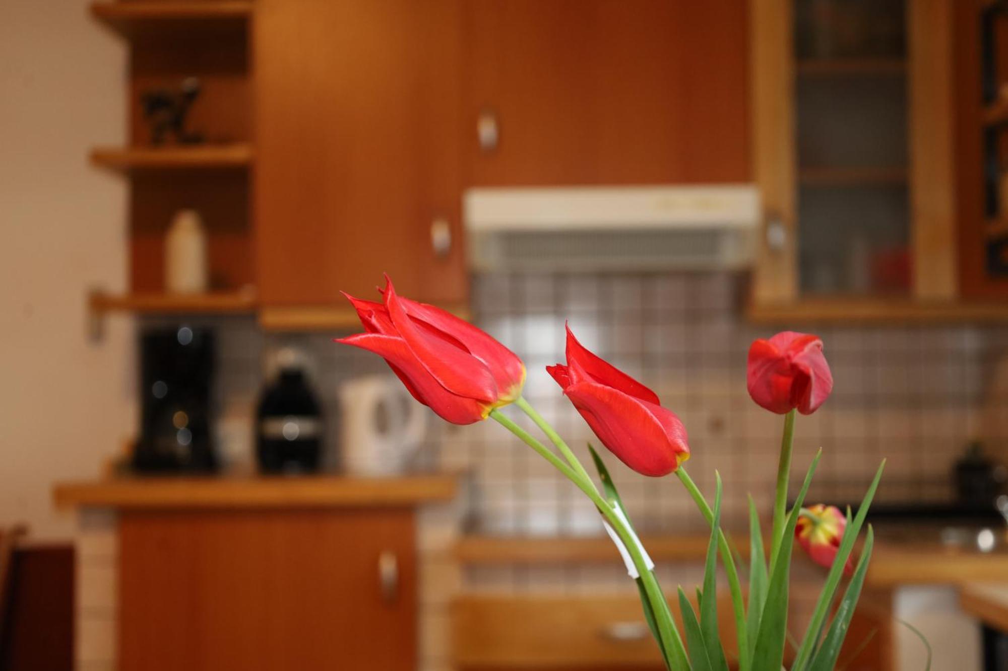 Apartment Norma ボヴェツ エクステリア 写真